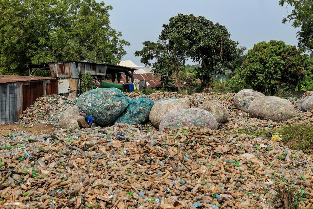 environmental impact